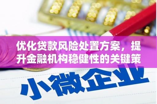 洮北优化贷款风险处置方案，提升金融机构稳健性的关键策略