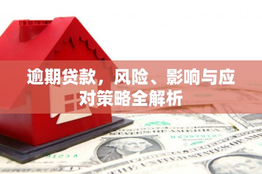 洮北逾期贷款，风险、影响与应对策略全解析