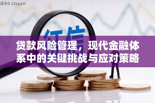 洮北贷款风险管理，现代金融体系中的关键挑战与应对策略
