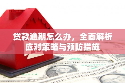 洮北贷款逾期怎么办，全面解析应对策略与预防措施