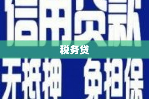 洮北税务贷