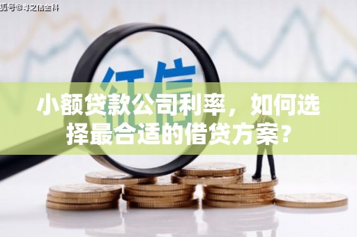 洮北小额贷款公司利率，如何选择最合适的借贷方案？