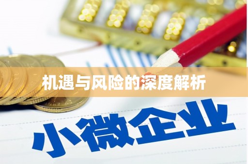 洮北机遇与风险的深度解析
