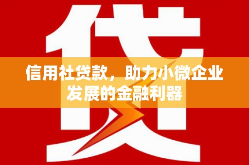 洮北信用社贷款，助力小微企业发展的金融利器