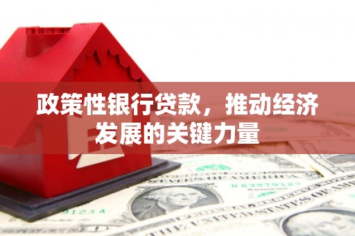 洮北政策性银行贷款，推动经济发展的关键力量