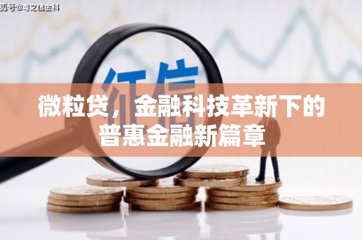 洮北微粒贷，金融科技革新下的普惠金融新篇章