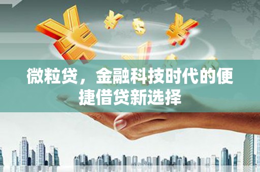 洮北微粒贷，金融科技时代的便捷借贷新选择