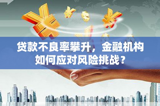 洮北贷款不良率攀升，金融机构如何应对风险挑战？