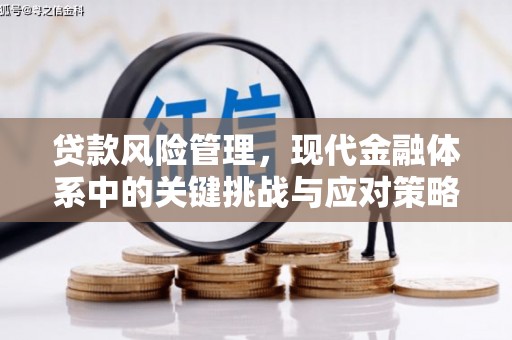 洮北贷款风险管理，现代金融体系中的关键挑战与应对策略