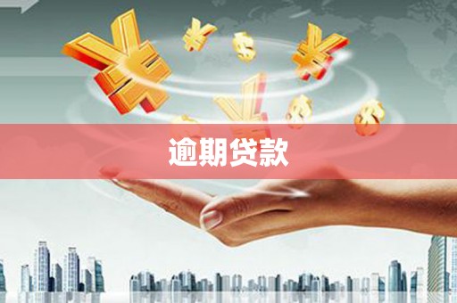 洮北逾期贷款