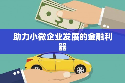 洮北助力小微企业发展的金融利器