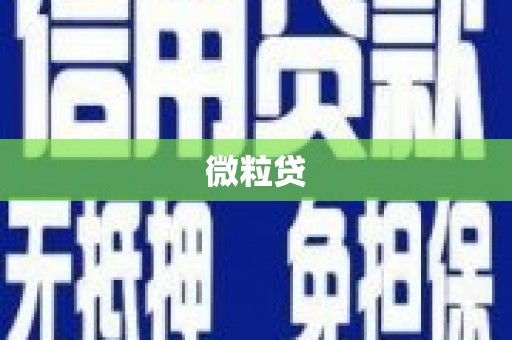 洮北微粒贷