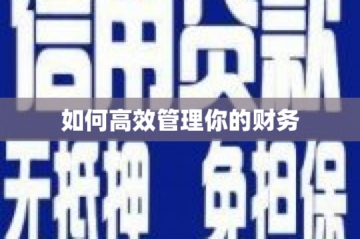 洮北如何高效管理你的财务