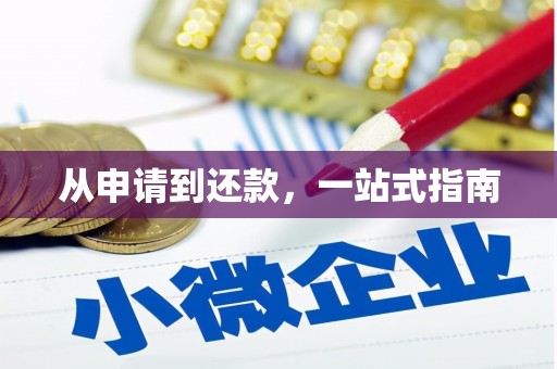 洮北从申请到还款，一站式指南