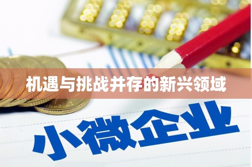 洮北机遇与挑战并存的新兴领域