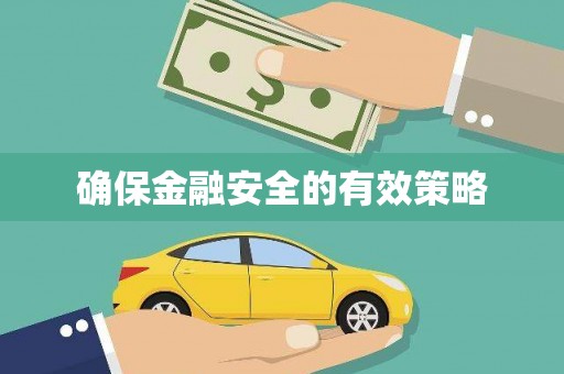 洮北确保金融安全的有效策略