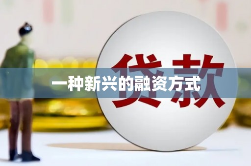 洮北一种新兴的融资方式